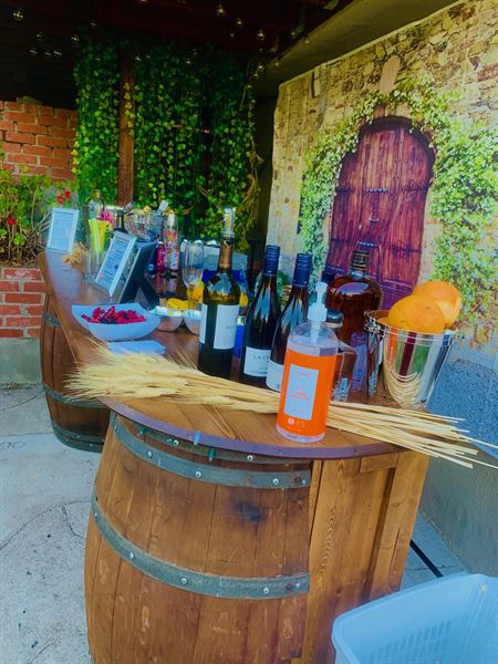 Chairs4Events & Party Rentals