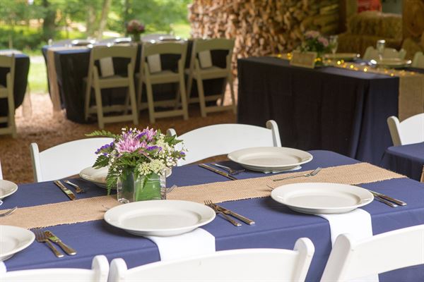 Butterfly Hollow Bed & Breakfast