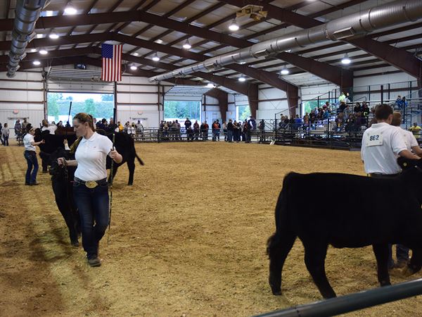 Fulton County Fair Facilities