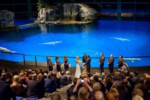 Rice Foundation Amphitheater