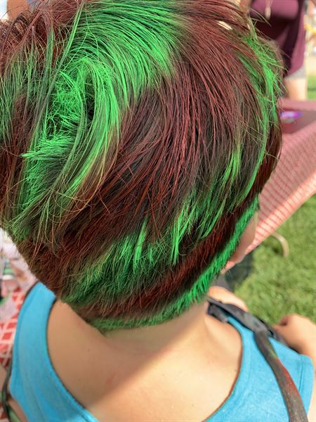 Phancy Face Painting & Party Ent Plus