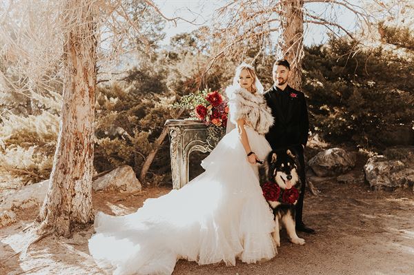 The Retreat on Charleston Peak