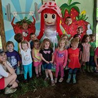 The Party Farm at Sunset Berry Farm