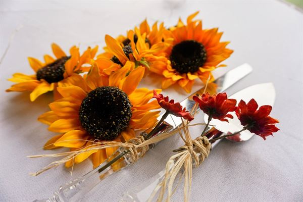 Spotlight Events Company