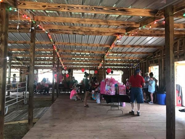 Noah's Ark Road Show