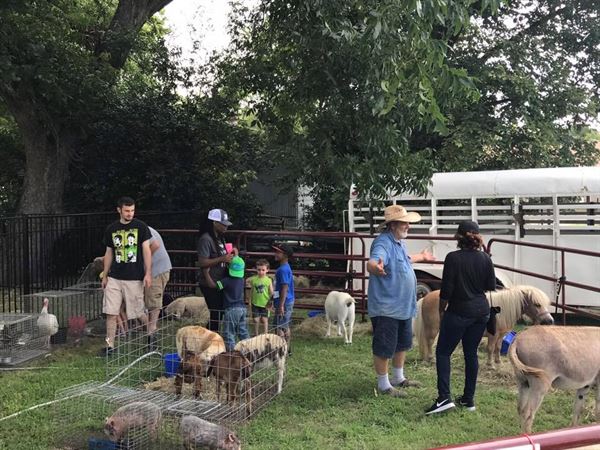 Noah's Ark Road Show