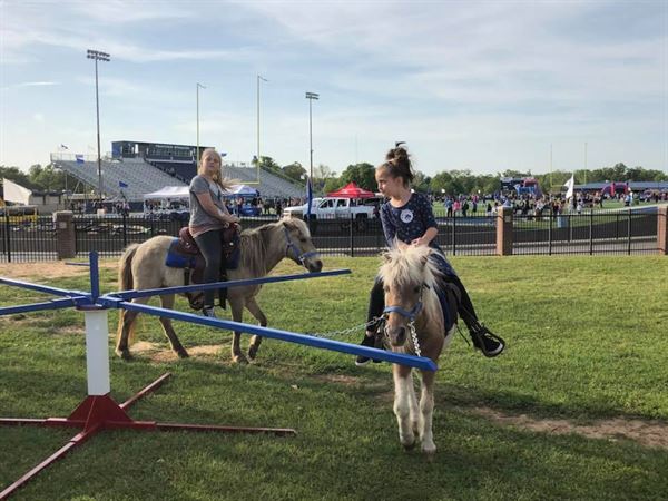 Noah's Ark Road Show