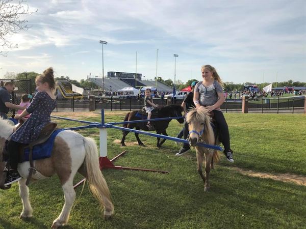 Noah's Ark Road Show