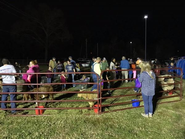 Noah's Ark Road Show