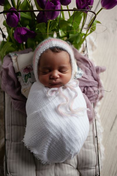 Vanessa Rae Photography