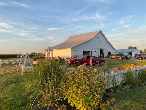 Meg's Country Celebrations