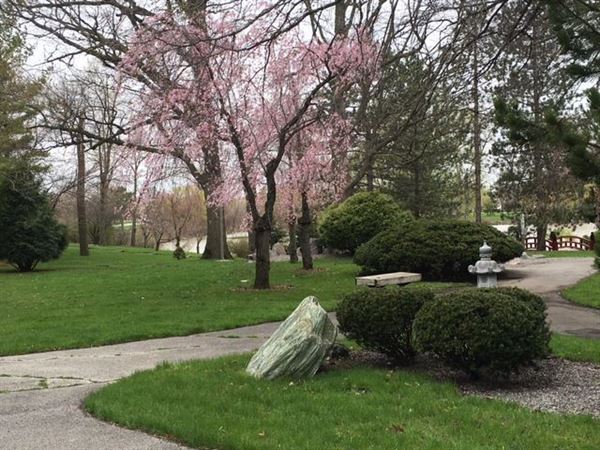 Japanese Cultural Center, Tea House And Gardens of Saginaw