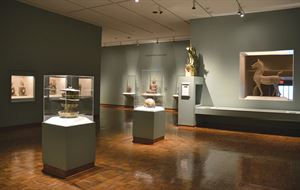 Museum Galleries