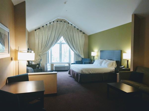 Holiday Inn Express & Suites Saginaw