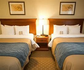 Comfort Inn & Suites Virginia Beach - Norfolk Airport