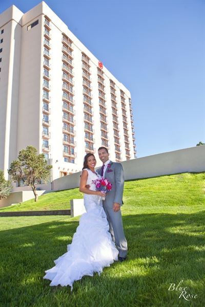 NEWLY RENOVATED Sheraton Albuquerque Airport Hotel