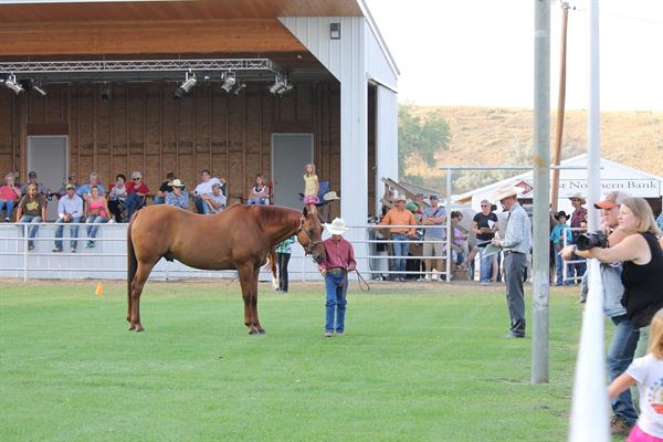 Johnson County Fairgrounds