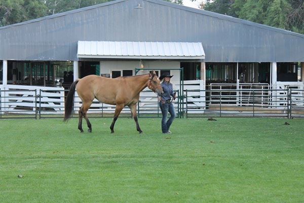 Johnson County Fairgrounds