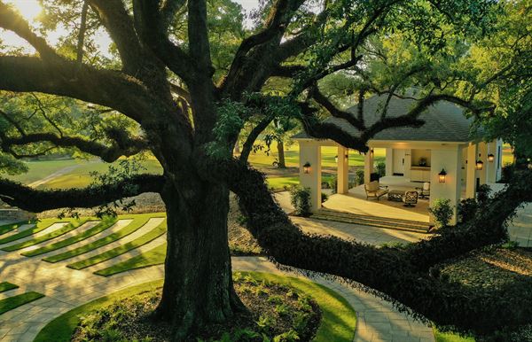 The Reed House at Live Oaks