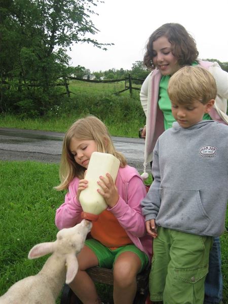 Hull-O Farms Family Farm Vacations