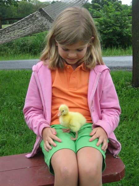 Hull-O Farms Family Farm Vacations