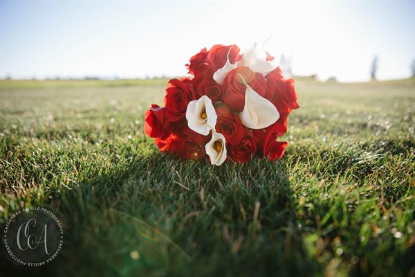 North Bellingham Golf Course