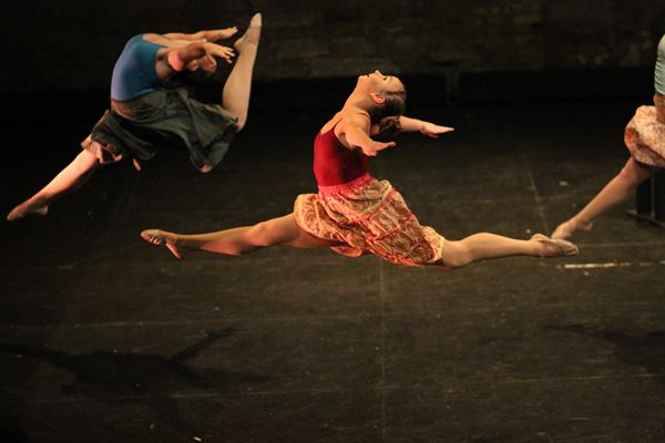 Out on a Limb Dance Theater Company