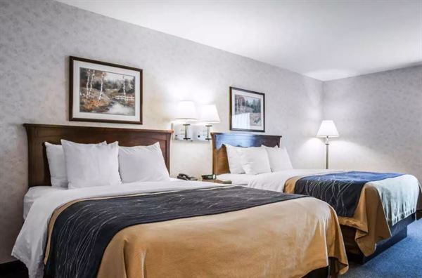 Comfort Inn Bellingham