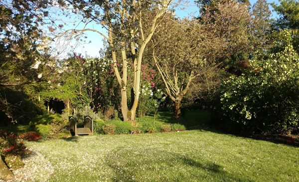 Stepping Stones Garden