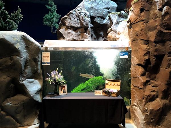 Great Lakes Aquarium