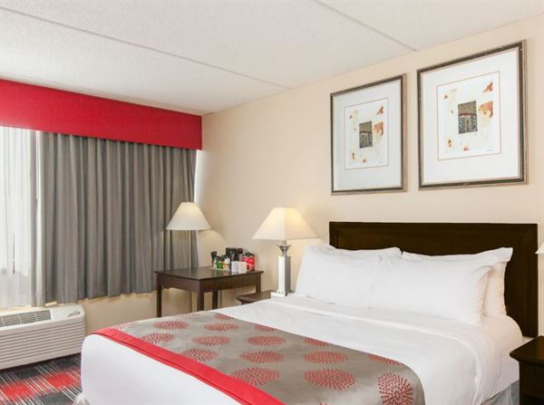 Ramada Plaza by Wyndham Albany