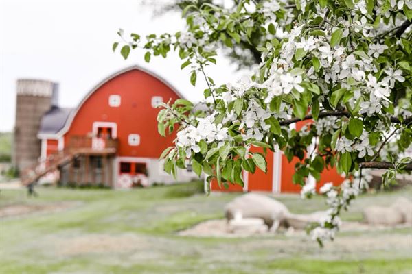 Barn at Jean Acres