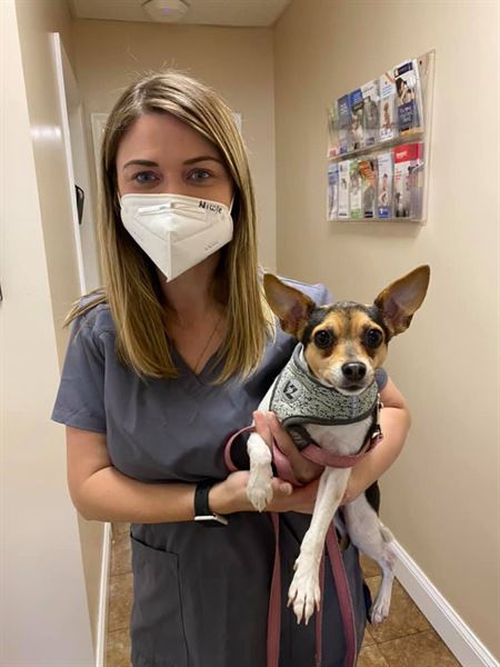 World of Animals, Inc. at Mayfair