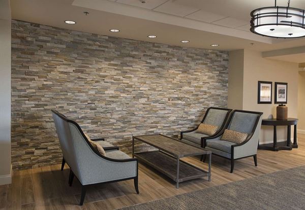 Hampton Inn Braselton