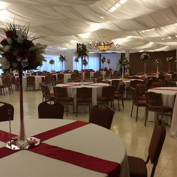 JS Venue Plus/NexLevel Venues