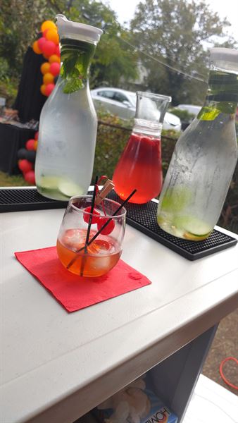 TipSee Pheen- Mobile Cocktail Bar, LLC