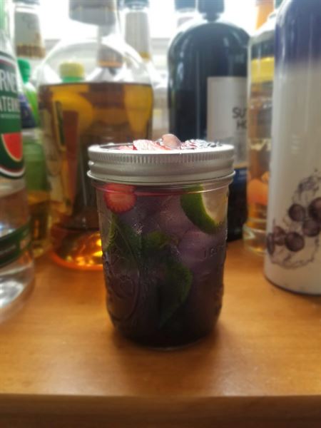 TipSee Pheen- Mobile Cocktail Bar, LLC