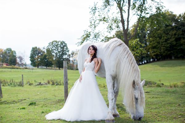 Lakota's Farm Wedding's and Event's