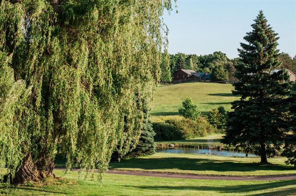 Caledon Valley Estate