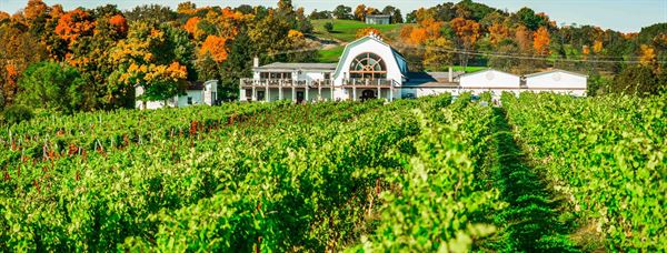 Millbrook Vineyards & Winery