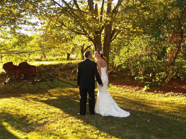 A Wedding in the Country