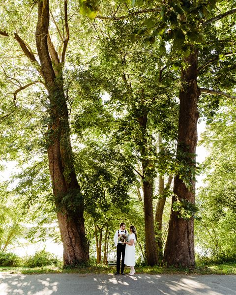 Laura Billingham Photography