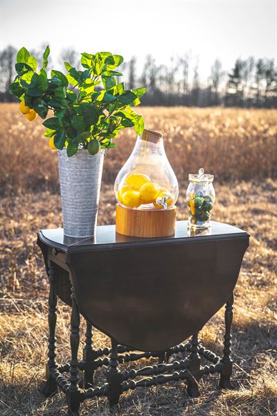 Frothy Bottom Mobile Bar & Beverage Catering