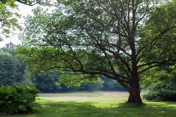 The Farmhouse at Shephard Hills