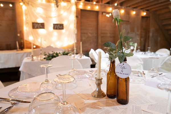 Historic Mesquite Inc.