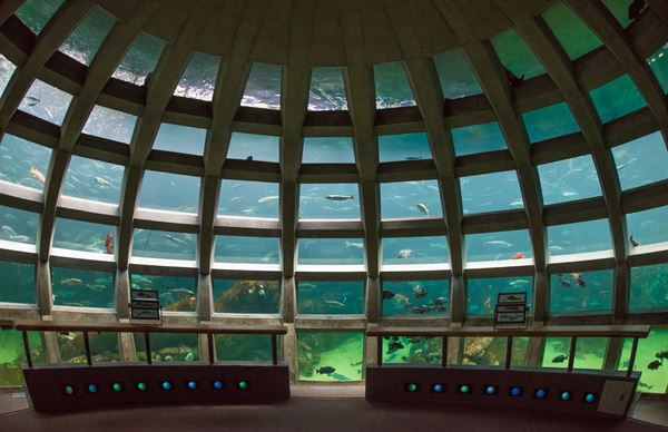 Seattle Aquarium