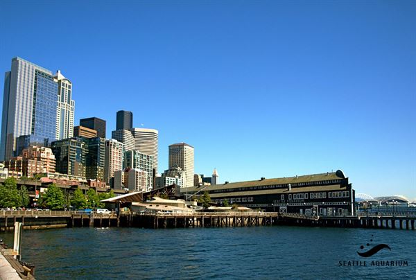 Seattle Aquarium