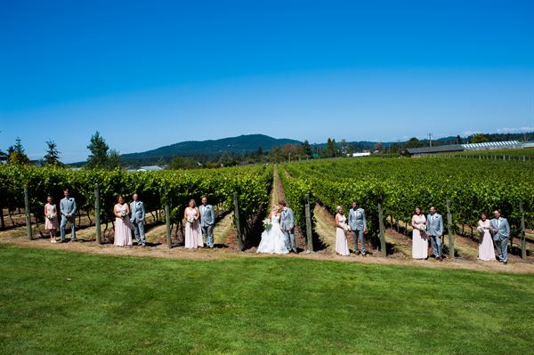 Church & State Wines