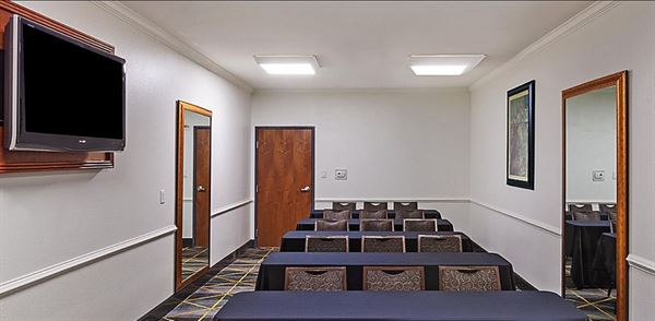 Holiday Inn Hotel & Suites McKinney-N Allen