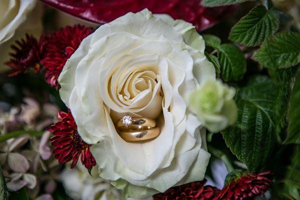 Rene Guerrero Photography